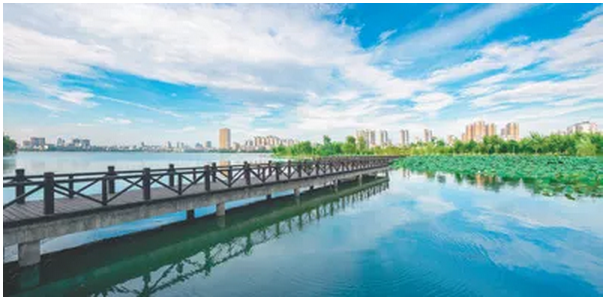 1541128379193926.png 1541128379193926.png