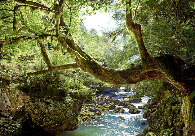 1542075093462221.png 1542075093462221.png